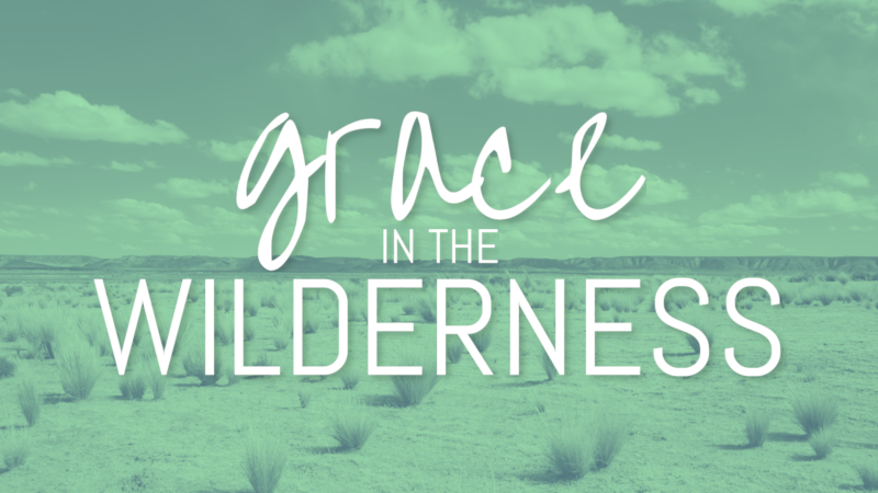 Grace in the Wilderness